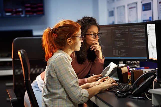 Two developers working on coding on desktop computer.