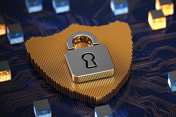 thumbnail image of a computer circuit board with a padlock shield 