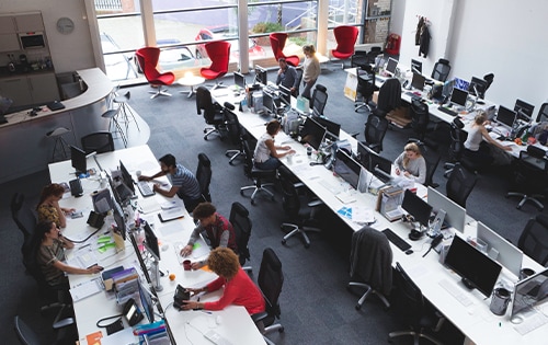 People working in the office