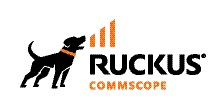 ruckus Logo