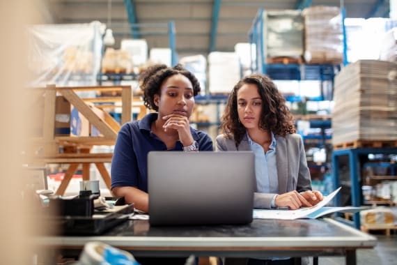 Female worker with IT specialist working on laptop.