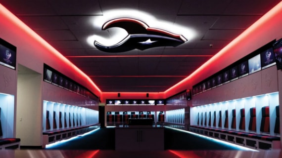 Houston Texans image