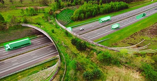 How to Build Sustainability Into Your Supply Chain