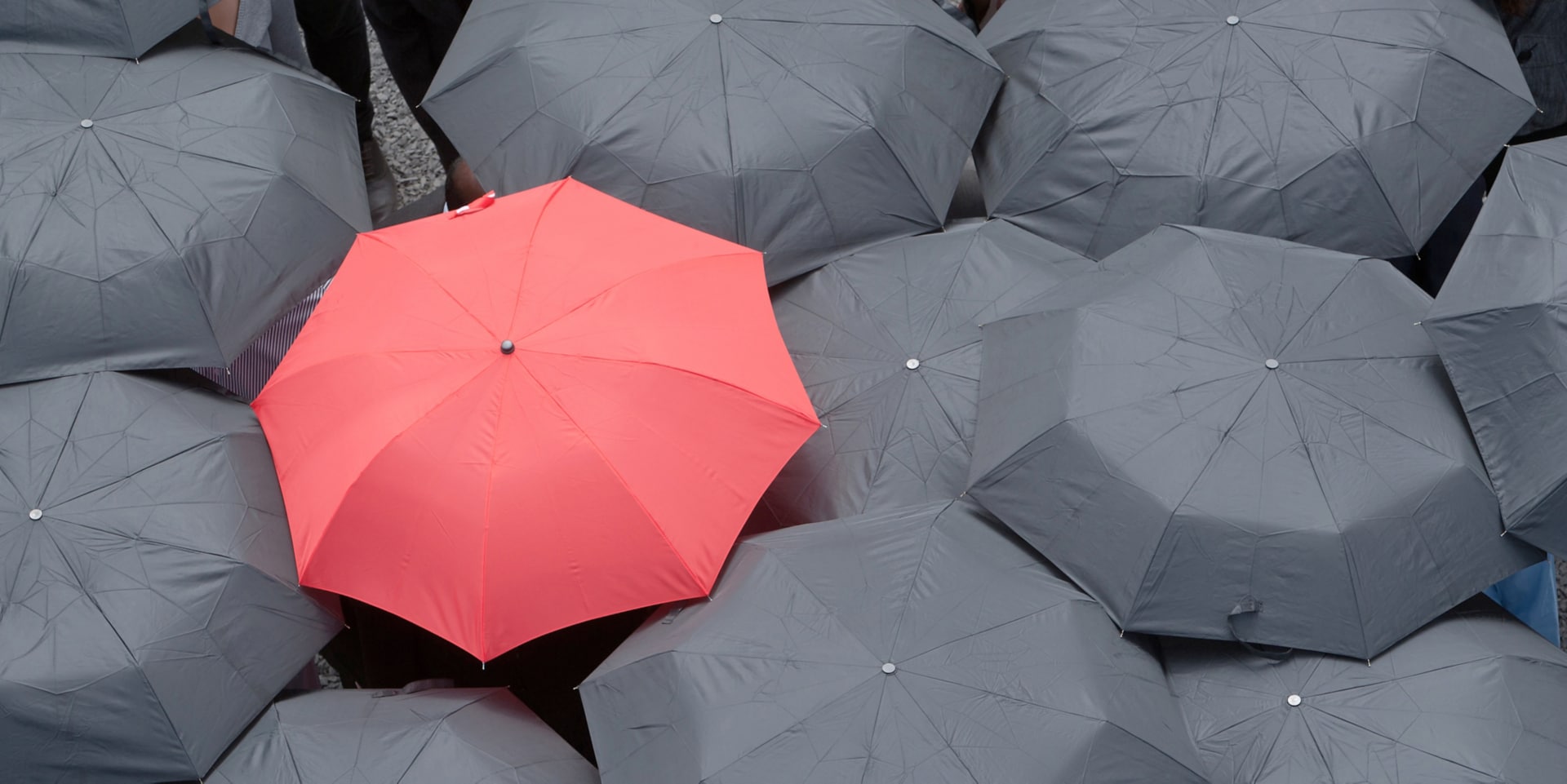 umbrella